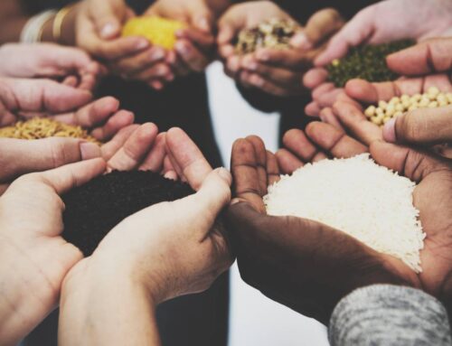Cultivating Generosity: A Look at the 5 Types of Givers in the Church
