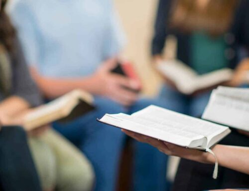 From Decline to New Life: Catalyst Helps the Sisters of Mother of God Monastery Reimagine Their Future
